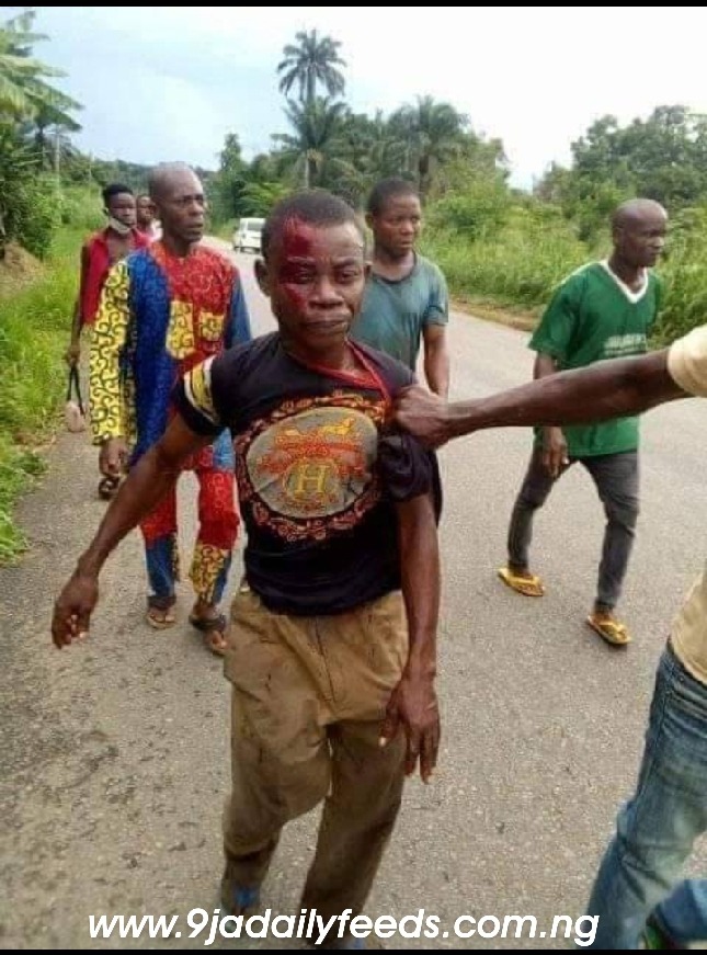 Man Kills His Cousin Over Mangoes In Abia (Photos)