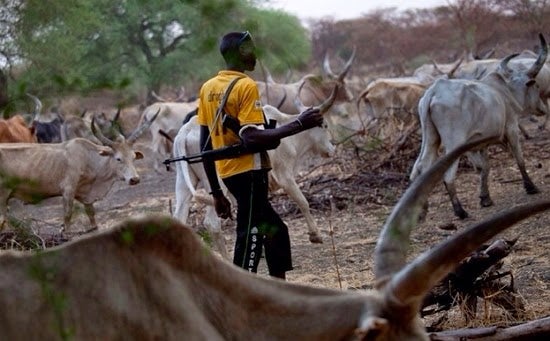 Suspected herdsmen kill man, pregnant wife in Benue