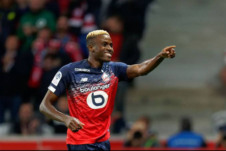 Victor Osimhen Voted Lille Player Of The Season