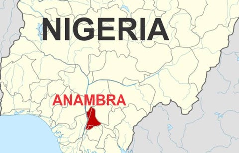 Fathers Raped Their Daughters More In Anambra During Lockdown