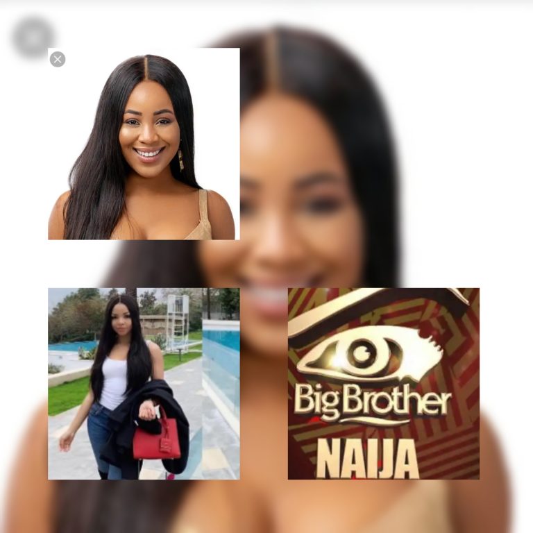 BBNaija 2020: Nengi and I are the hottest girls in the house – Erica
