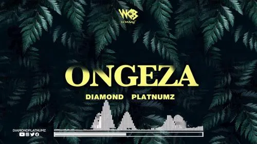 DOWNLOAD MP3: Diamond Platnumz – Ongeza