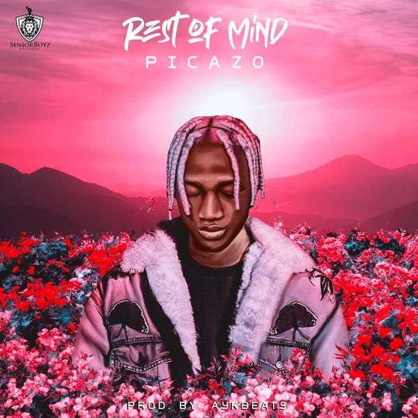 DOWNLOAD MP3: Picazo – Rest Of Mind