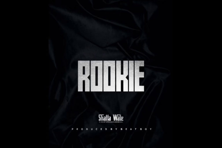 DOWNLOAD MP3: Shatta wale – Rookie