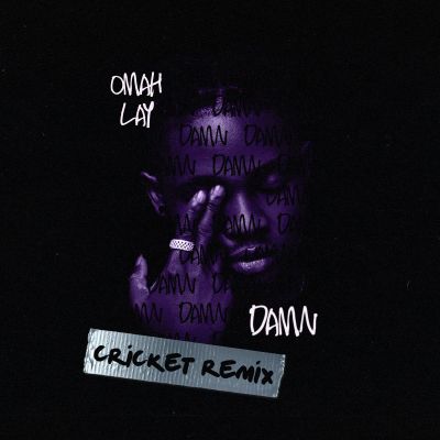 DOWNLOAD MP3: Omah Lay – Damn (Cricket Remix)
