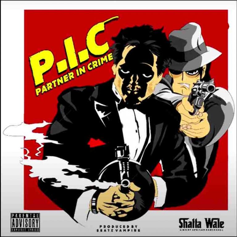 DOWNLOAD MP3: Shatta Wale – Partner In Crime (P.I.C)