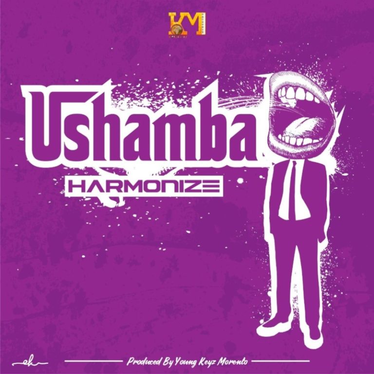 [AUDIO + VIDEO]: Harmonize – Ushamba