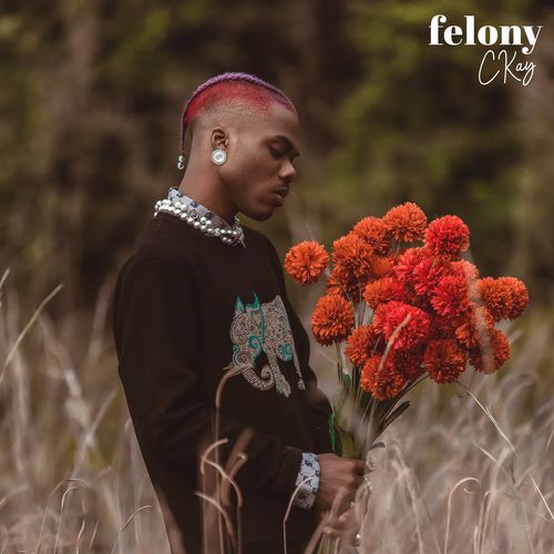 Felony by Ckay Mp3 Download