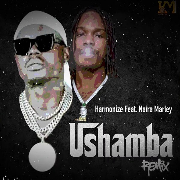 Ushamba (Remix) by Harmonize Ft. Naira Marley FREE DOWNLOAD