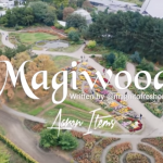 Magnito – Magiwood ft. Bovi