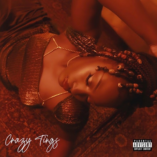 Download Tems – Crazy Tings Instrumental
