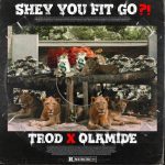 Trod – Shey You Fit Go?! ft. Olamide