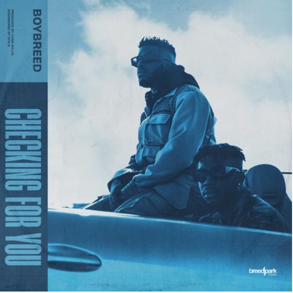 Boybreed – Checking For You