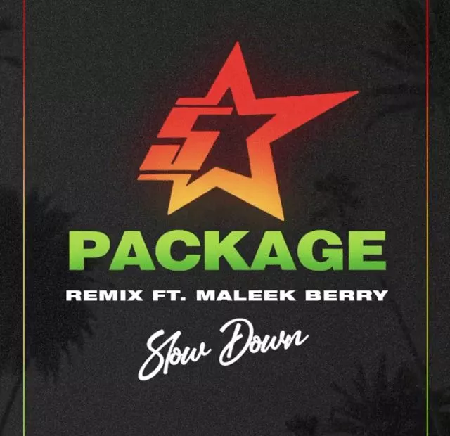 King Promise - Slow Down (Remix) Ft. Maleek Berryy