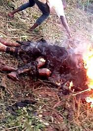 Two thieves burnt to death