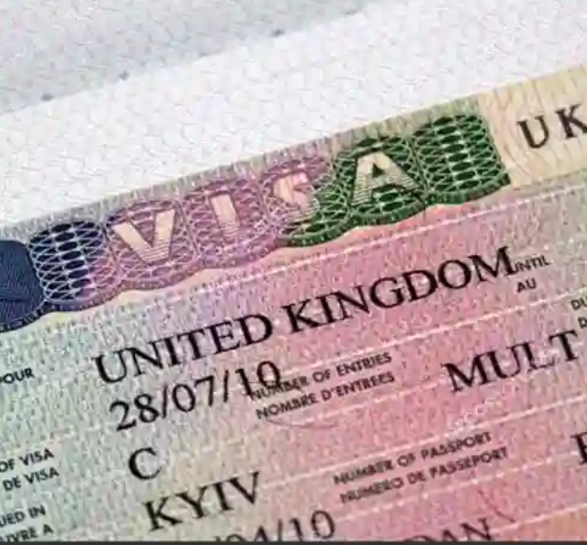 UK to introduce new visa that allows university graduates to relocate to the country