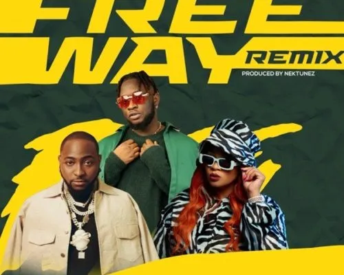 Tripsy, Lady Du, Davido & Nektunez – Freeway (Remix) ft. DJ Pee Raven Mp3 Download