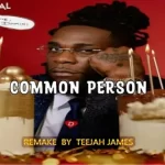 Burna Boy - Common Person (Remake By Teejah James)