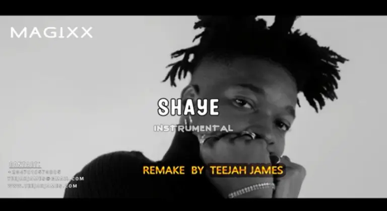 Instrumental : Magixx – Shaye (Remake By Teejah James)