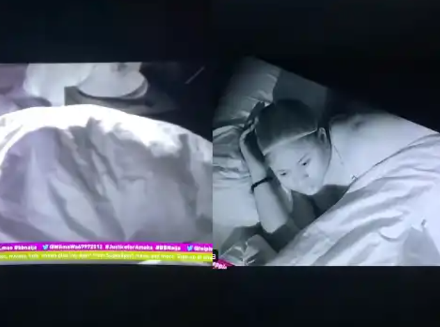 BBNaija: Daniella and Khalid share ‘intimate moment’ under the sheets as Amaka stays up to watch (videos)