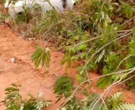 Tragic: Driver loses control, crushes child and mother to death in Ogun state