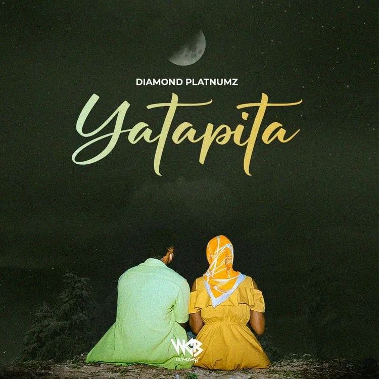 Diamond Platnumz – Yatapita Full Lyrics & English Translation