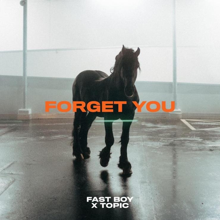 FAST BOY & Topic – Forget You MP3 DOWNLOAD