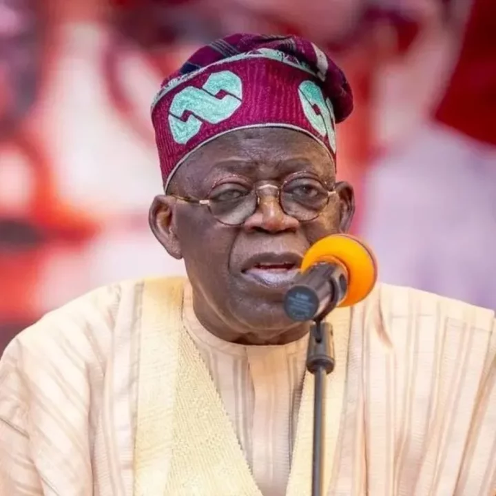 You didn’t win 2023 presidential election – Tinubu hits back at Peter Obi