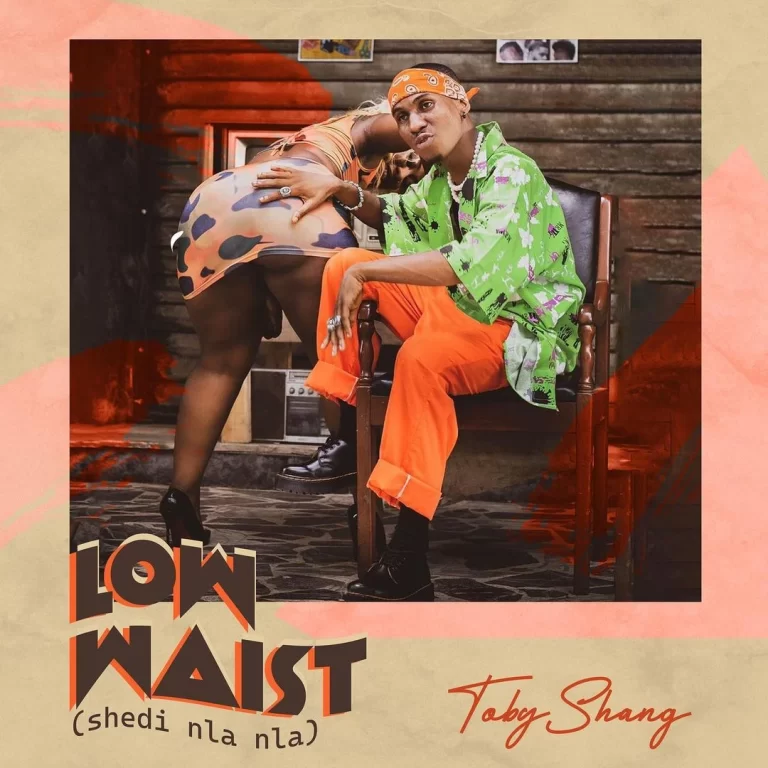 Toby Shang – Low Waist (Shedi Nla Nla) MP3 DOWNLOAD