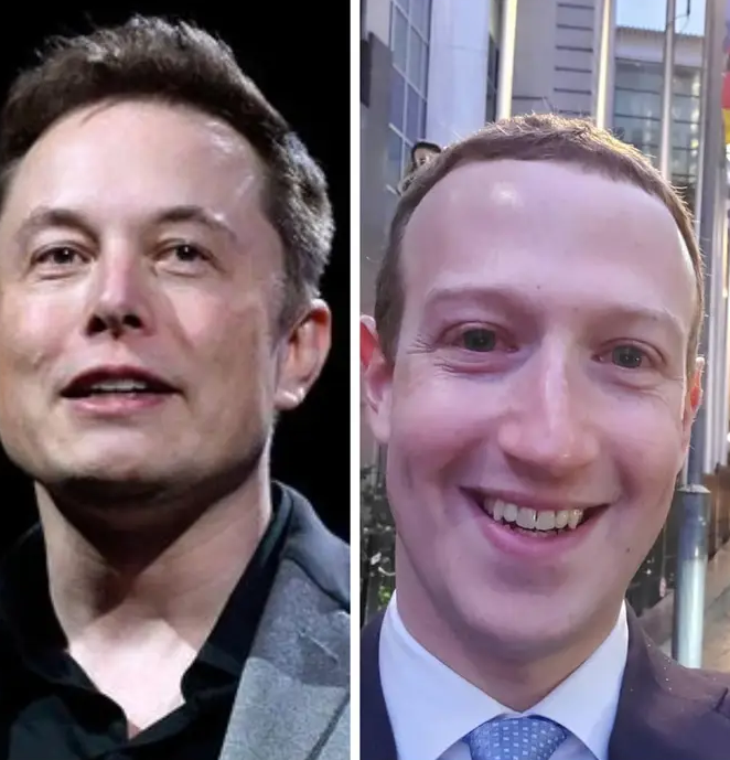 Elon Musk Challenges Mark Zuckerberg To A Cage Fight