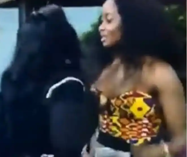 BBNaijaAllStars: Ilebaye clashes with female housemates as she pulls Ceec’s wig and pushes Doyin after their Saturday night party (videos)