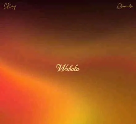 Ckay & Olamide – Wahala